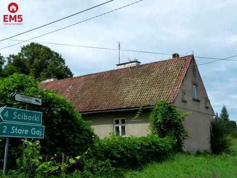Siedlisko na Mazurach (Żabin)