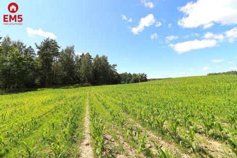 Działka na Mazurach z blisko jeziora