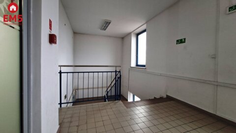 Lokal użytkowy 300 m2 na wynajem