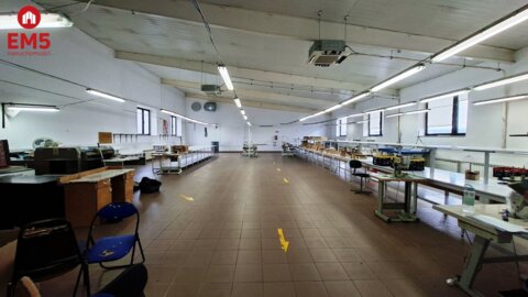 Lokal użytkowy 300 m2 na wynajem