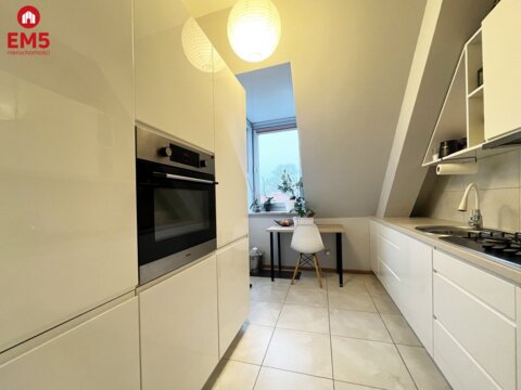 Ładne, nowoczesne mieszkanie do wynajęcia