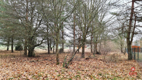 Działka 1900 m2. Pieńki