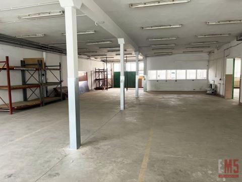 Hale 600 m2, 300 m2. Dogodna lokalizacja.