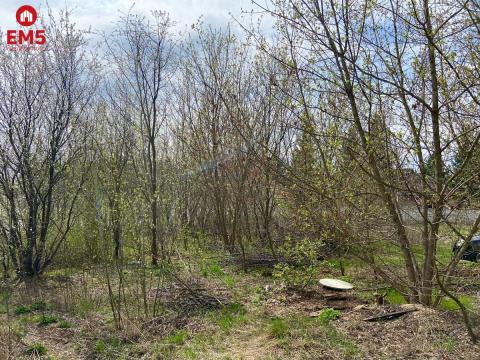 Działka w Nowodworcach