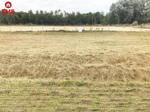 Teren 6000 m2 do wynajęcia