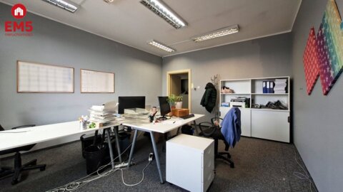 Lokal biurowy 300 m2 na wynajem