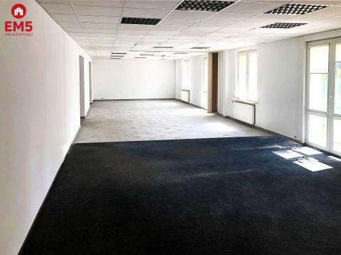 Ścisłe centrum 300 m2 parter plus piętro
