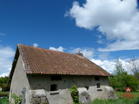 Siedlisko na Mazurach (Żabin)
