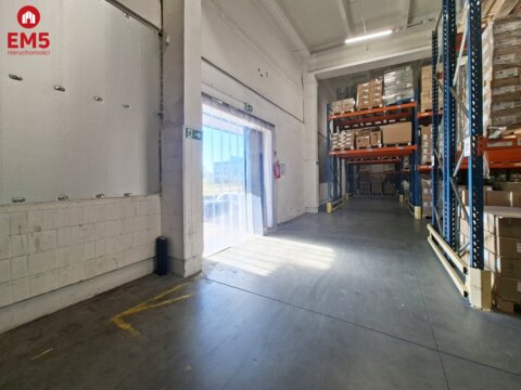 Warehouse/hall for rent