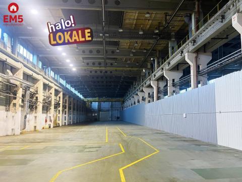 Hala 200m2 do wynajęcia