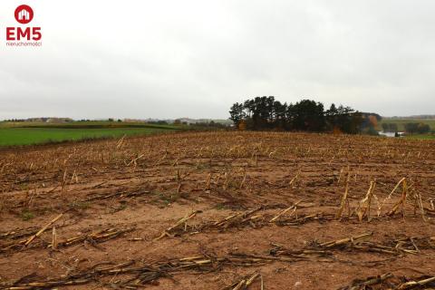 Działka rolno-budowlana - Żegary, gm. Sejny