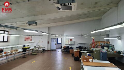 Lokal użytkowy 300 m2 na wynajem