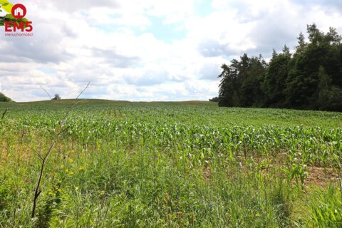 Działka budowlana na Mazurach Rożyńsk Wielki