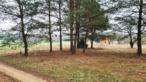 Działka 1900 m2. Pieńki