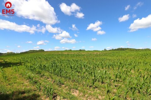 Grundstück zu verkaufen