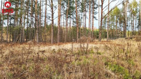 Działka 8500 m2, Jurowce
