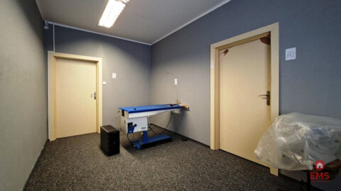 Lokal biurowy 300 m2 na wynajem