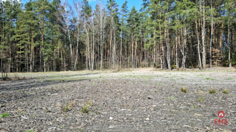 Działka blisko lasu w Solniczkach. 1109 m2