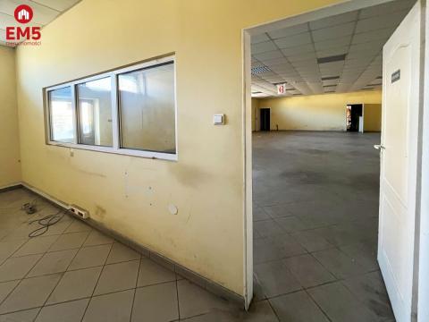 Lokal użytkowy 200 m2
