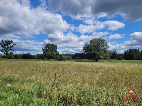 Działka budowlana wśród zieleni.