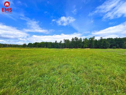 Pierwsza linia jeziora Harsz - działka budowlana.