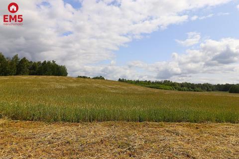 Land for sale