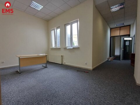 Biuro w centrum do wynajęcia