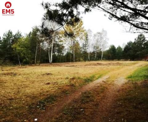 Działka rekreacyjna Dubicze Cerkiewne nad zalewem