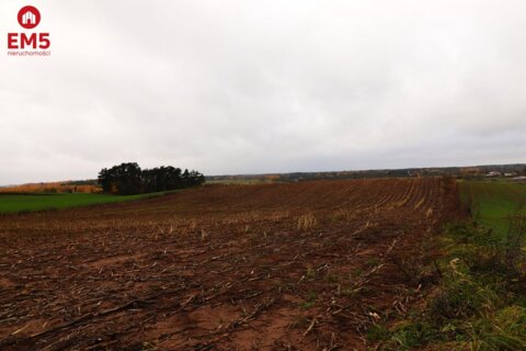 Działka rolno-budowlana - Żegary, gm. Sejny