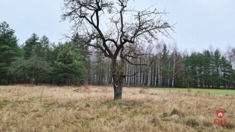 Działka 1900 m2. Pieńki