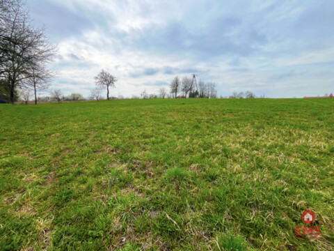 Królewskie Wzgórza, 3 km od Białegostoku.