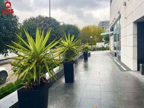 Business premises for rent