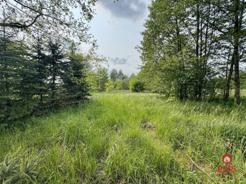 Działka w  Kosmatym Borku – Kosmaty Borek