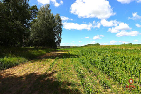 Land for sale – Rożyńsk Wielki