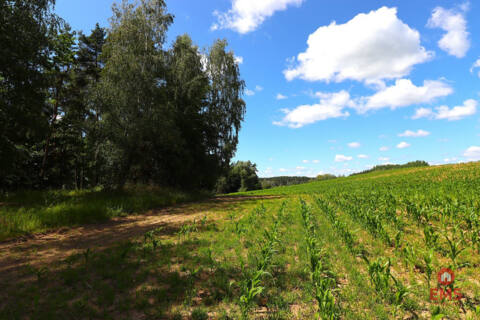 Land for sale – Rożyńsk Wielki