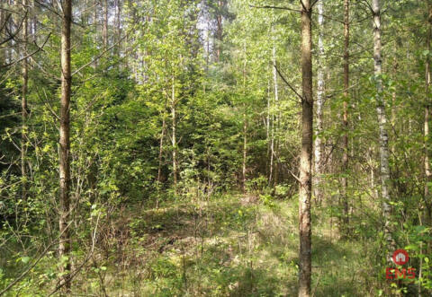 Land for sale – Jankowo-Młodzianowo