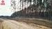 Działka 8500 m2, Jurowce