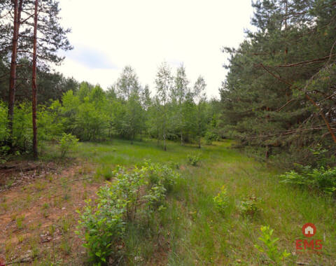 Land for sale – Płaska