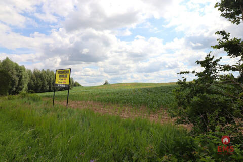 Land for sale – Rożyńsk Wielki