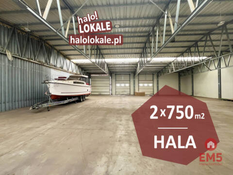 Warehouse/hall for rent – Księżyno