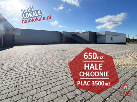 Hala, magazyn, produkcja, plac – Ostrów Mazowiecka