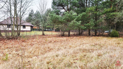Land for sale – Pieńki