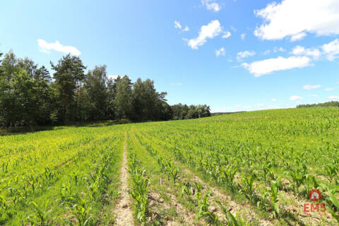 Land for sale – Rożyńsk Wielki